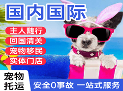 常州机场快运国际宠物托运 【国